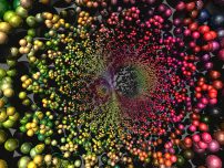 DNA of Digital Disruptors